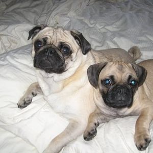 Meet your Posher, Sandy